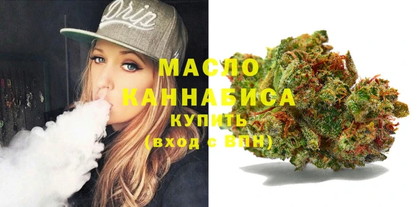дмт Заводоуковск