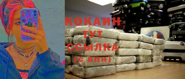 дмт Заводоуковск
