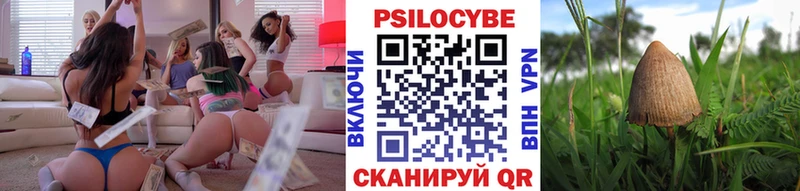 Псилоцибиновые грибы Cubensis  Купить закладки  Старый Крым 